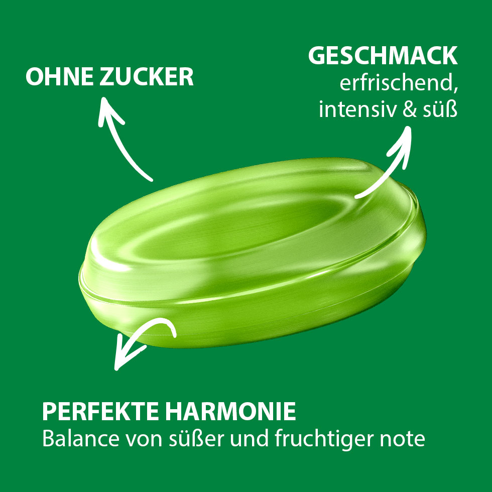 VIVIL Limette-Minze Erfrischungsbonbons ohne Zucker | 120g VIVIL Limette-Minze Erfrischungsbonbons ohne Zucker | 120g