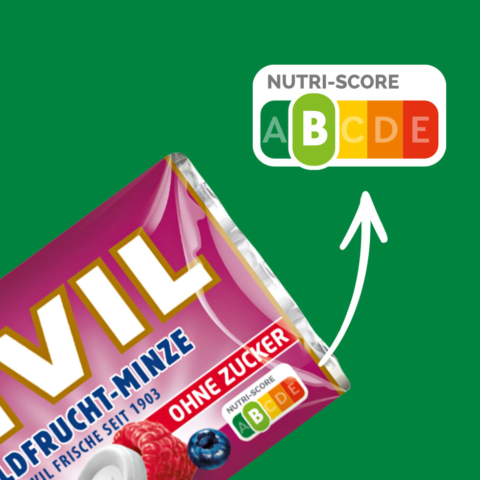 VIVIL Waldfrucht-Minze Pastille ohne Zucker | 20 x 3er Pack