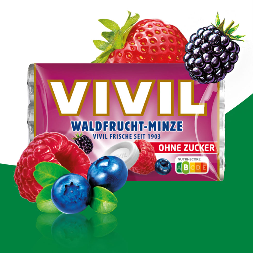 VIVIL Waldfrucht-Minze Pastille ohne Zucker | 20 x 3er Pack