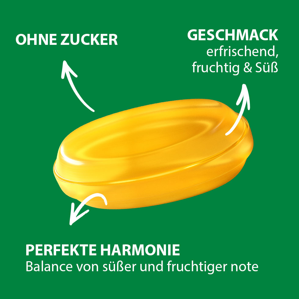 VIVIL Zitronenmelisse Multivitaminbonbons ohne Zucker | 120g VIVIL Zitronenmelisse Multivitaminbonbons ohne Zucker | 120g